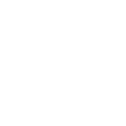 CarlinkCar